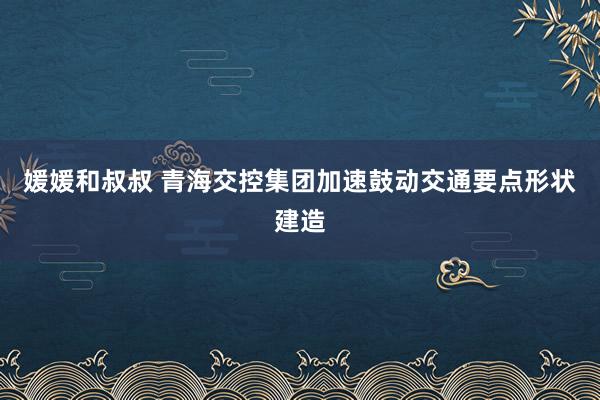媛媛和叔叔 青海交控集团加速鼓动交通要点形状建造