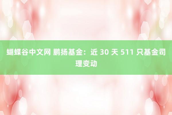 蝴蝶谷中文网 鹏扬基金：近 30 天 511 只基金司理变动