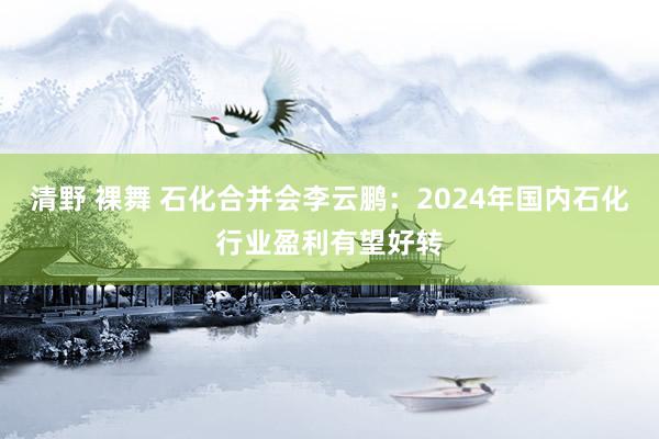 清野 裸舞 石化合并会李云鹏：2024年国内石化行业盈利有望好转