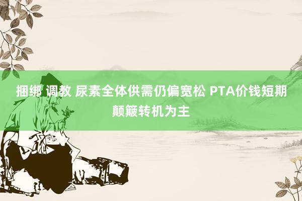 捆绑 调教 尿素全体供需仍偏宽松 PTA价钱短期颠簸转机为主