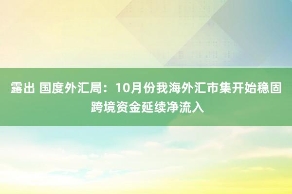 露出 国度外汇局：10月份我海外汇市集开始稳固 跨境资金延续净流入