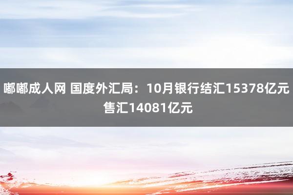 嘟嘟成人网 国度外汇局：10月银行结汇15378亿元 售汇14081亿元