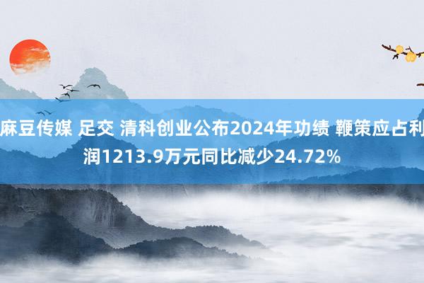 麻豆传媒 足交 清科创业公布2024年功绩 鞭策应占利润1213.9万元同比减少24.72%